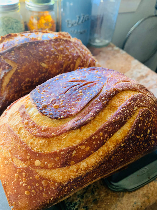 How to Make Sourdough from Scratch